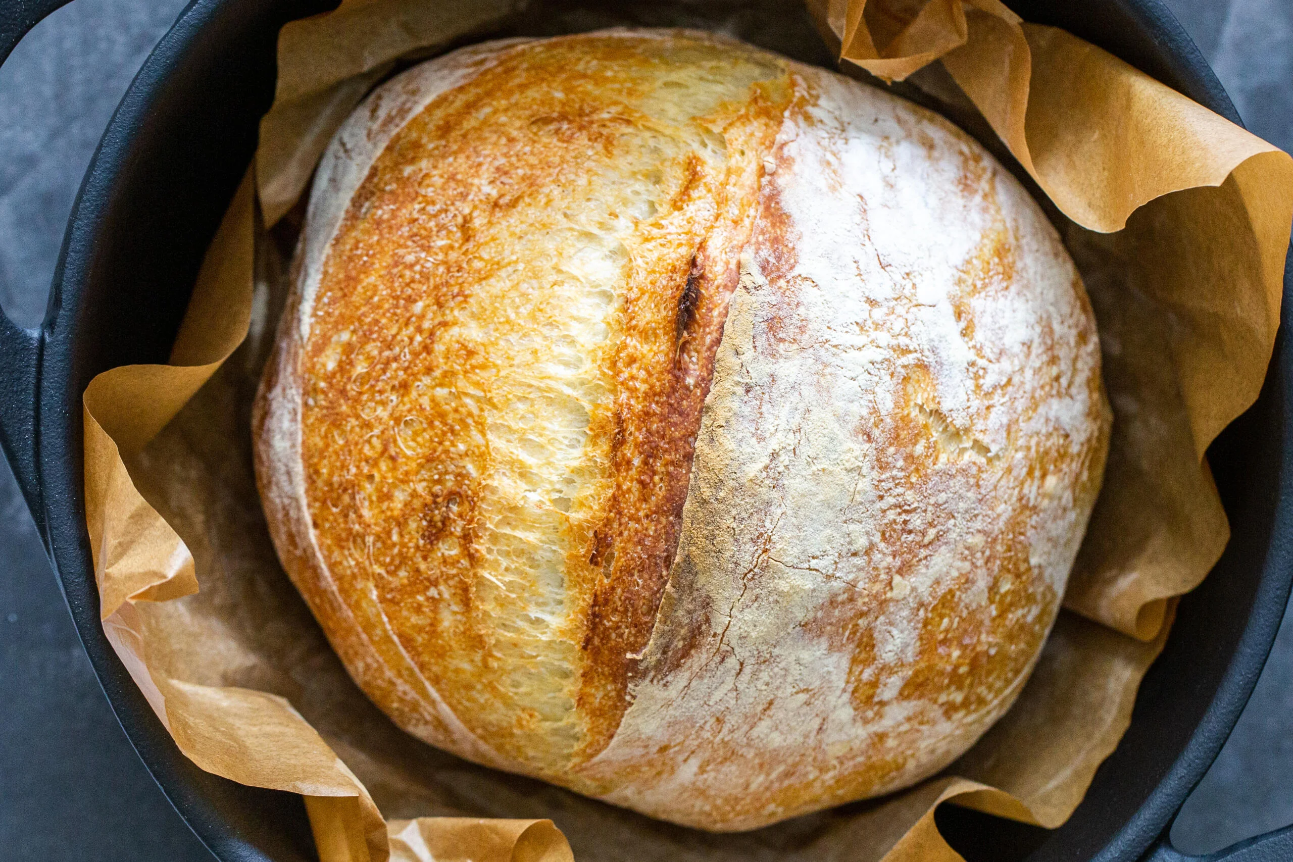 Homemade Crusty Bread (No-Knead Dutch Oven Loaf)